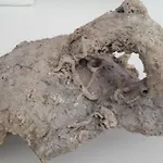 公寓 Amphora 斯普利特